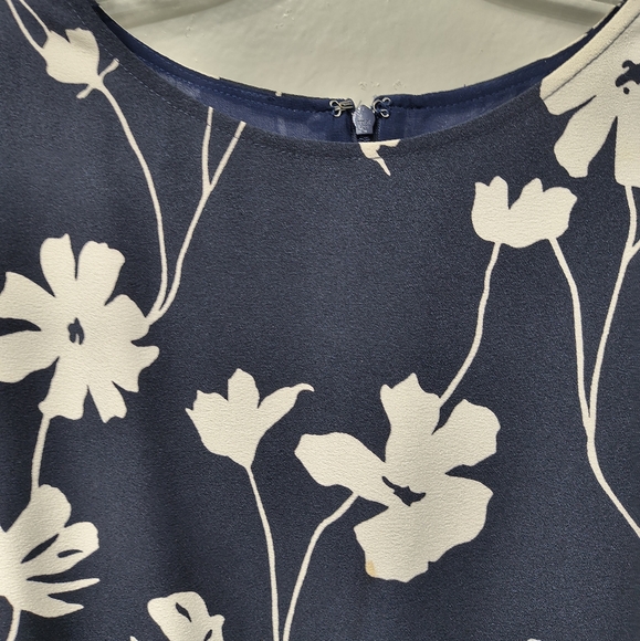 Brooks Brother Woman's Sleeveless Floral Print Blue White Dress Plus Size 16 - Picture 2 of 11